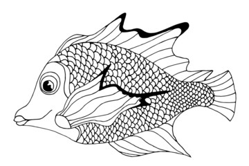 Hand Drawn Fish