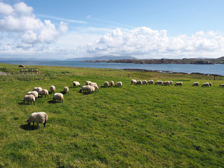 Obraz premium Hebrideninsel Iona