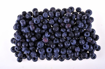 fresh blueberries 