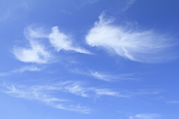 Blue sky and cloud