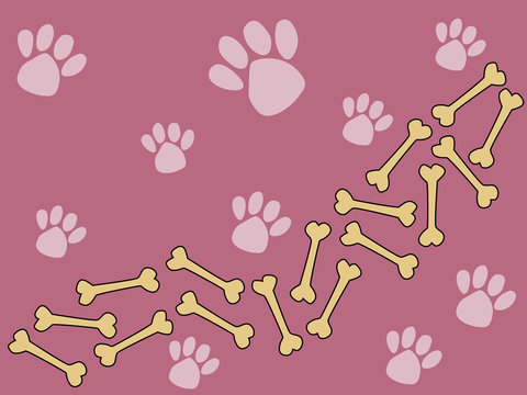 Pink background with dog footprints and bones