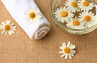 Fototapeta na wymiar herbal chamomile infusion flower petals towel spa natural beauty care