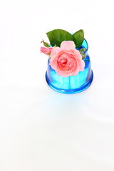 ピンクいの薔薇を涼しそうなブルーの花瓶に挿して