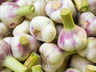 Rosa Knoblauch - Gew&uuml;rz - Frankreich - K&uuml;che -  Kochen