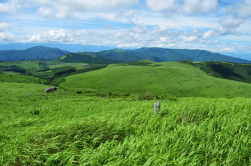 長野県　夏山　車山高原ハイキング