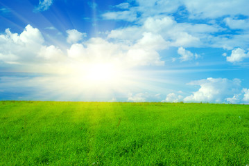 Fototapeta na wymiar landscape with green grass and cloudy sky