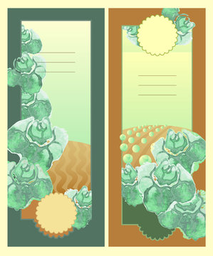 Vertical Banner. Cabbage and cabbage fields.
Farm before and after harvesting.