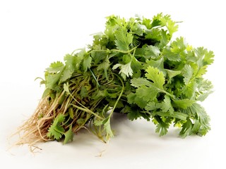 bunch of herb plants coriander
