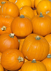Colorful pumpkins
