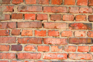 Obraz premium brick wall