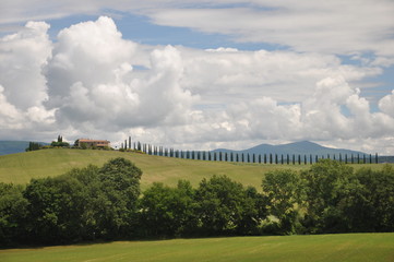 Montalcino in der Toskana