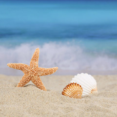 Fototapeta na wymiar Strandszene Hintergrund im Sommer, Urlaub mit Meer und Textfreir