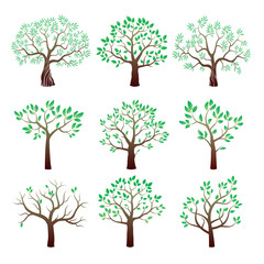 Set of color vector trees.