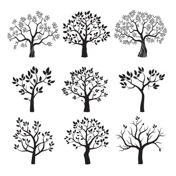 Set of black vector trees.