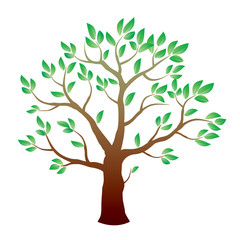 Color tree and green leafs. Vector Illustration.