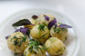 young boiled potatoes with dill