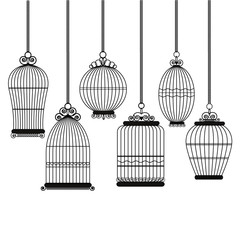 Bird cage decorative  with variation style
