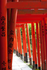 Torii gates at Nezu shrine in Nezu, Tokyo, Japan