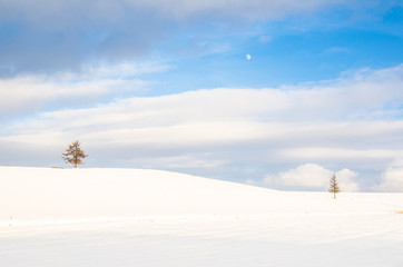 雪原の昼月