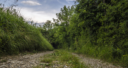 Sentiero di campagna