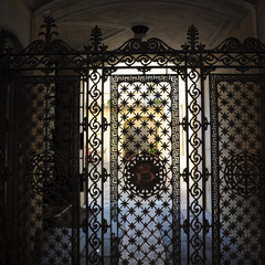 Building entrance gate in Parma, Italy