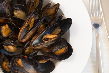 Italian cuisine. Mussels