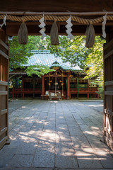 Fototapeta na wymiar Hikawa Shrine, Tokyo, Japan