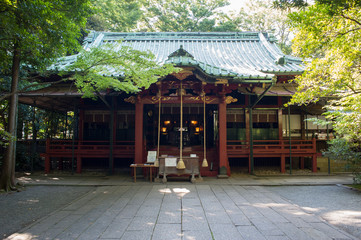 Fototapeta na wymiar Hikawa Shrine, Tokyo, Japan