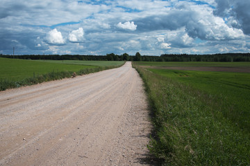Fototapeta na wymiar Latvian landscape.