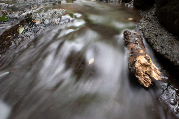 Water Stream Near Odawara, Kanagawa Prefecture, Japan