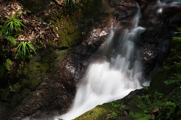 Obraz premium Water Stream Near Odawara, Kanagawa Prefecture, Japan