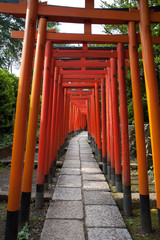 Fototapeta na wymiar Torii Gates At Nezu Shrine, Tokyo, Japan