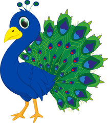 cute peacock cartoon