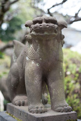 Fototapeta na wymiar Komainu statue at a temple In Tokyo, Japan
