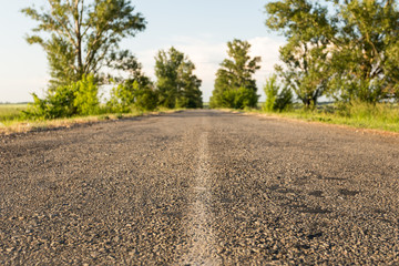 Asphalt road among the blurred tree line