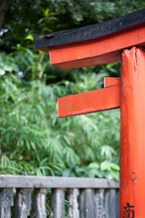 Torii Gate At Nezu Shrine, Tokyo, Japan