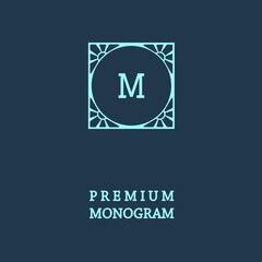 Stylish  graceful monogram , Elegant line art logo design