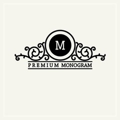 Stylish  graceful monogram , Elegant line art logo design 