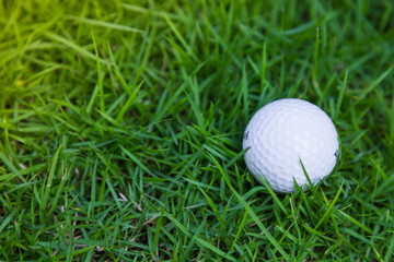 Golf ball on green grass