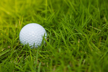 Golf ball on green grass