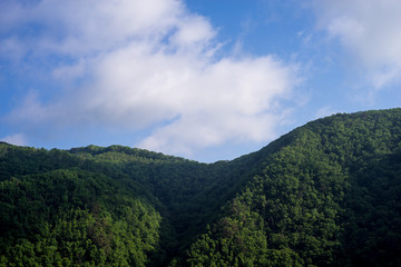 Mountain covered with trees in the morning, Fukushima Prefecture, Japan