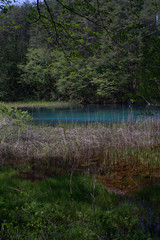 View of Goshiki-numa lake, Fukushima Prefecture, Japan