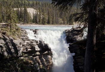 athabaska falls Jasper Alberta