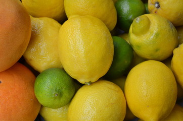 Zitrusfrüchte