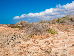 Oasis de Juncalillo. Tierras.