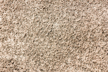 Suede shoe closeup texture.