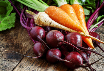 Fresh organic beets and carrots on old wooden table, selective f