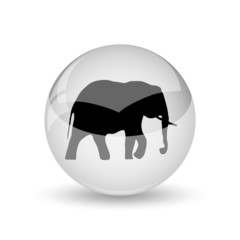 Elephant icon