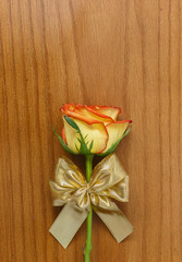 Rose and gold decorative bow on the wooden background
