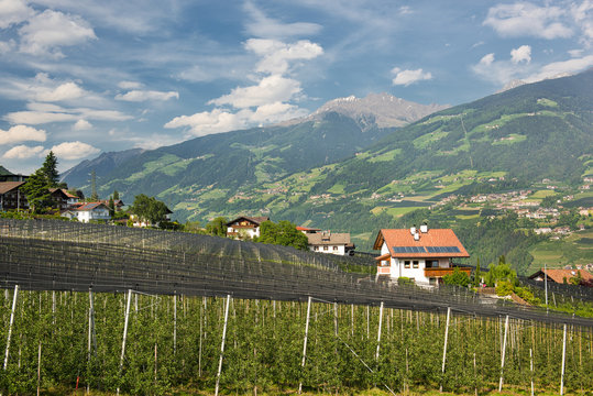 Dorf Tirol mit dem Hirzer | S&uuml;dtirol